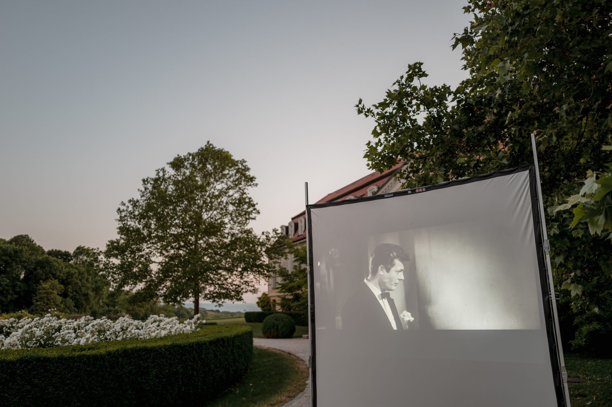 Summer Open-air Cinema