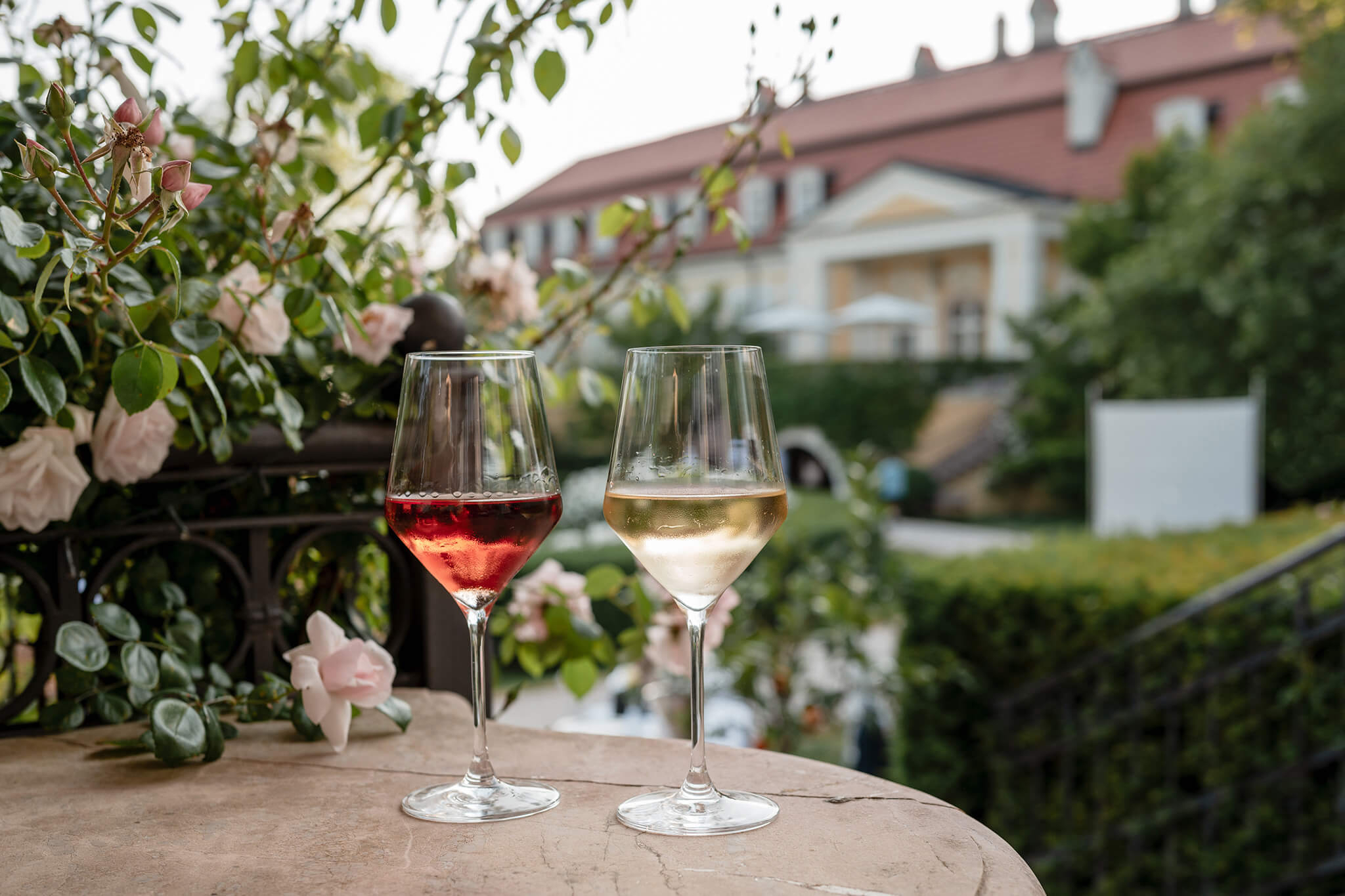 Innocently About Wine